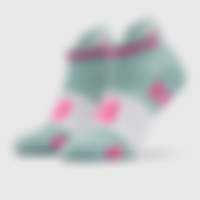 Pro Racing Socks V4.0 Run Low