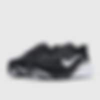 Air Zoom Pegasus 42 Wide Wide