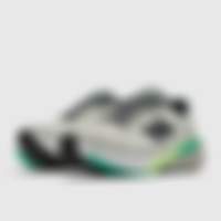 860 v15 Reflection Graphite