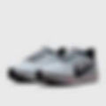 Pegasus 41