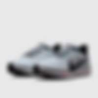 Pegasus 41