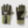 Denali Gloves