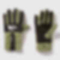 Denali Gloves
